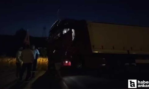 Beypazarı-Ankara yolunda köpek sürüsünün kazaya neden olduğu iddia edildi: TIR yoldan çıktı!