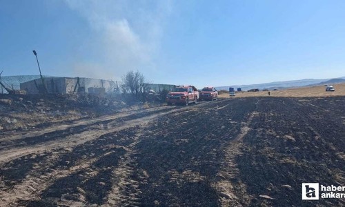 Güdül'de tarım arazisinde çıkan yangını itfaiye söndürdü