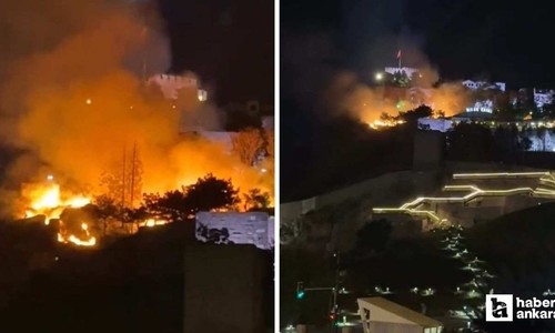 Ankara Kalesi yakınındaki otluk alanda yangın çıktı