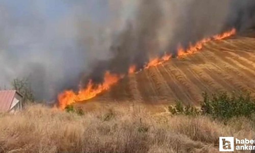 Beypazarı'nda yangın paniği: Ekili tarım arazisi alev aldı!