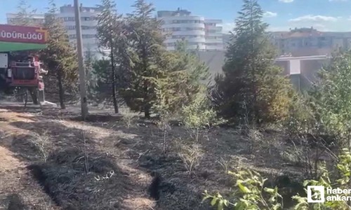 Çankaya'da arazide çıkan yangını itfaiye söndürdü