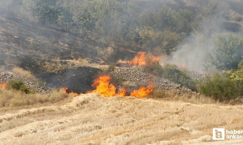 Beypazarı'nda çıkan yangında 50 dönüm buğday tarlası zarar gördü