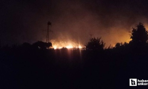 Güdül'de akşam saatlerinde arazi yangını çıktı