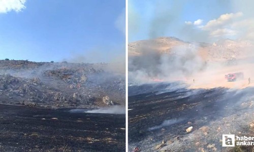 Nallıhan'da otluk alanda çıkan yangını itfaiye söndürdü