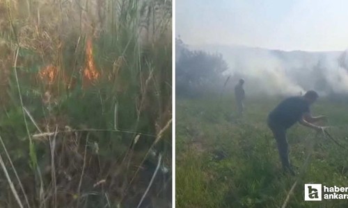 Beypazarı'nda ağaçlık alanda çıkan yangına itfaiye müdahale etti
