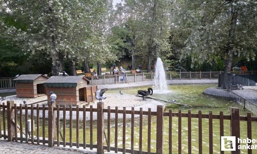 Türkiye genelinde hafta sonu yağış bekleniyor: Ankara'da sıcaklık düşecek!