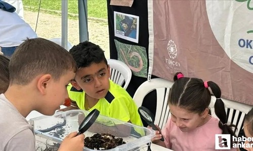 Ankara'da 48 okul orman bayrağı aldı!