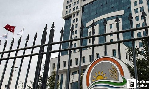 Tarım ve Orman Bakanlığının 1874 personel alımında detaylar açıklandı