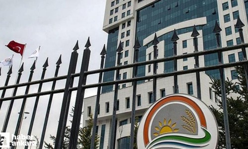 Tarım ve Orman Bakanlığı başkentte KPSS 50 puanla sözleşmeli personel alacak