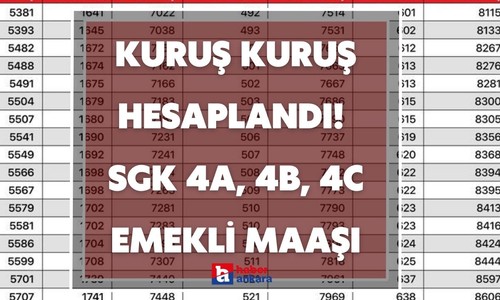 Kuruş kuruş hesaplandı rakam ortaya çıktı! SGK 4A, 4B, 4C emekli maaşı