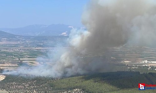 Kahramanmaraş ve Bodrum Milas'ta orman yangını! Müdahale devam ediyor!