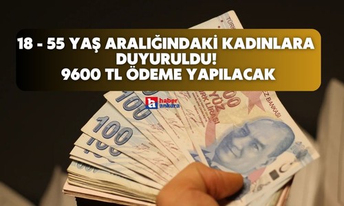 18 - 55 yaş aralığındaki kadınlara 24 ay boyunca nakdi destek duyuruldu! Hesaplara 9600 TL ödenecek