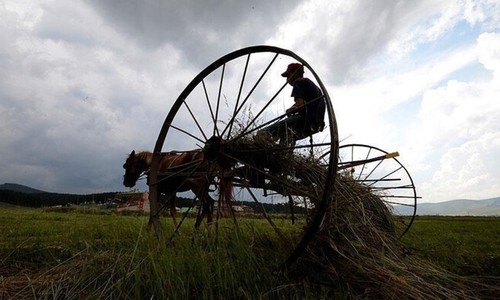 Çiftçilere müjde Bakan Yumaklı açıkladı! 96,1 milyon liralık destek ödemesi yapılıyor!