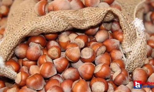 Ağustos 2023 fındık alım fiyatları açıklandı mı?