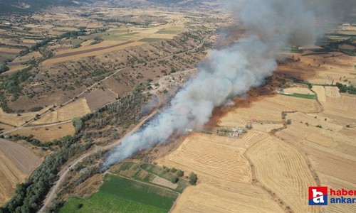 Ankara'nın Kahramankazan ilçesinde bir tarlada yangın çıktı!
