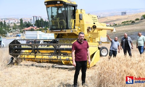 Pursaklar Belediyesi'nin çabalarıyla ekilen sebze ve meyvelerde hasat başladı!