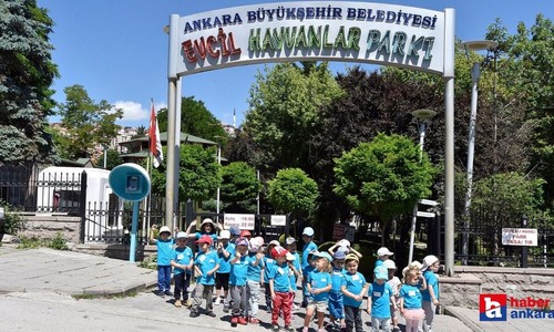 Evcil hayvan tutkunlarının uğrak noktası! Sincan Evcil Hayvanlar Parkı'nı keşfedin