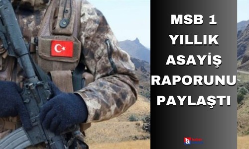 MSB 1 yıllık asayiş raporunu paylaştı