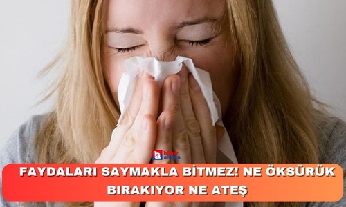 Faydaları saymakla bitmez! Ne öksürük bırakıyor ne ateş