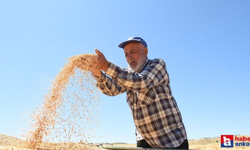 Altındağ Belediyesi'nden çiftçiye tam destek