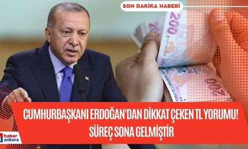 Cumhurbaşkanı Erdoğan'dan dikkat çeken TL yorumu! Süreç sona gelmiştir
