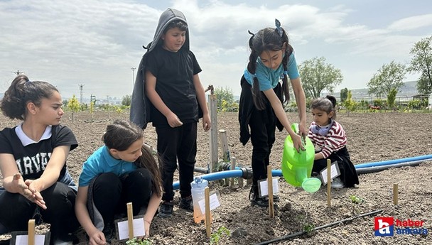 Sincan Belediyesi Eko Çiftlik binlerce öğrenci ağırlıyor
