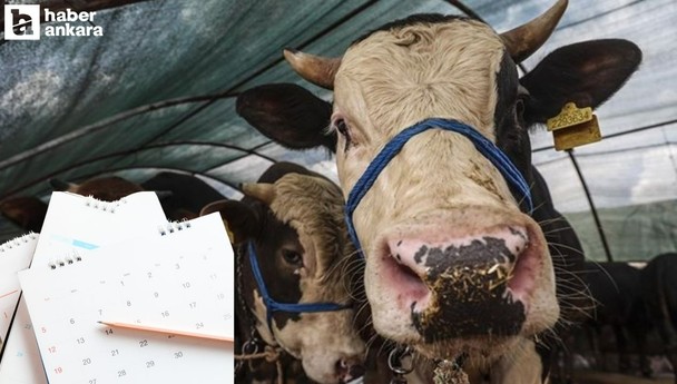 Kurban Bayramı tatili belli oldu mu, 9 gün mü olacak?