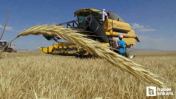 Ankara Polatlı’da sezonun ilk buğdayı ticaret borsasında satıldı