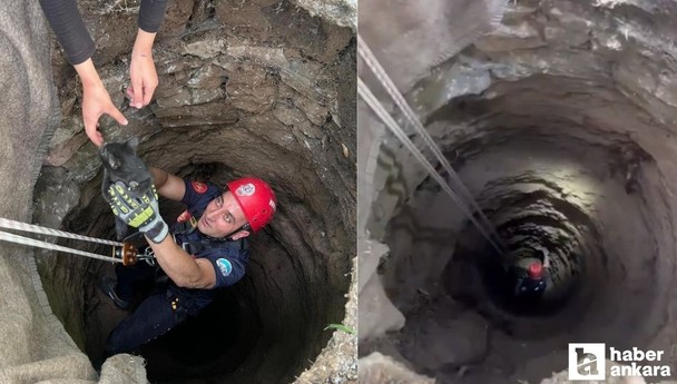 Kayseri'de kuyuya düşen yavru kedi kurtarıldı