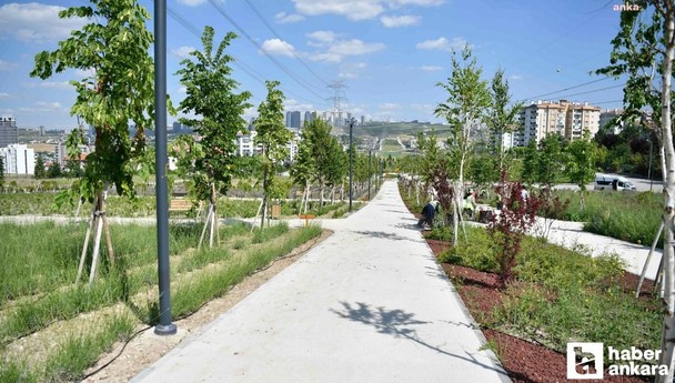 Sıcaktan bunaldıysanız buraları tercih edin! Ankara’da ferahlayabileceğiniz alanlar