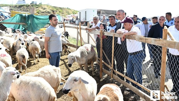 Mamak Belediye Başkanı Veli Gündüz, kurban satış alanını ziyaret etti