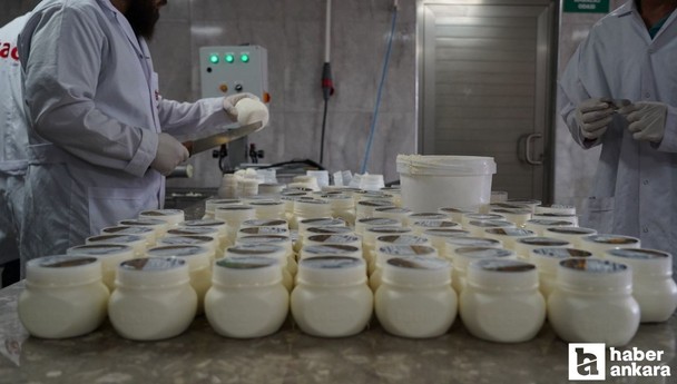 2 milyon lira hibeyle yılda 100 ton Erzurum tulum peyniri üretiliyor