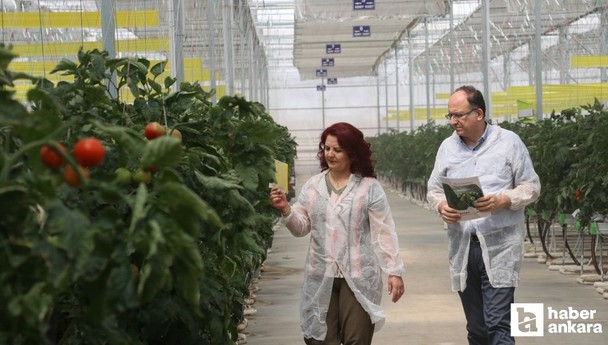 Yapay zeka ile tarımsal hastalık ve zararlıları tespit ediliyor