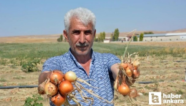 Ankara’nın Polatlı ilçesinde soğan tarlada yandı