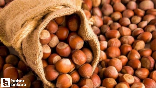 2024 Fındık alım fiyatları kaç TL?