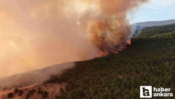 Çankırı'daki orman yangını ile mücadeleye ABB'den destek