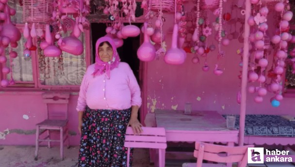 Sakine Teyzenin pembe evi gündem oldu