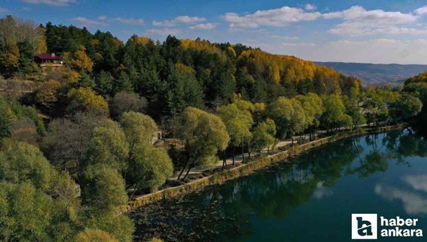Kaydedin lazım olur! Ankara ve Ankara'ya yakın milli parklar listesi