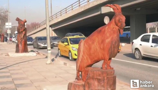 Ankara'nın sembol hayvanları ahşap heykellere konu oldu