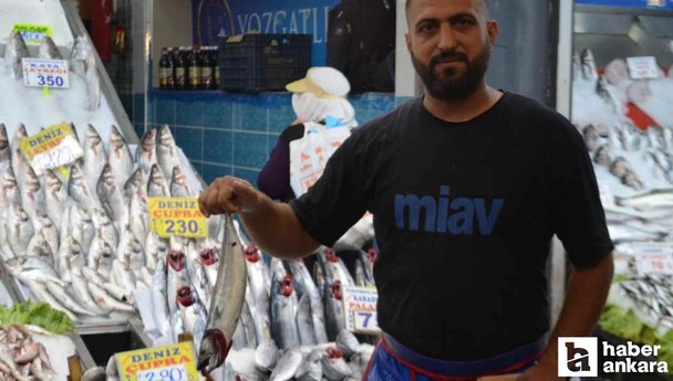 Ankara'da yeni sezonun balık fiyatları! Palamut istavrit mezgit fiyatı
