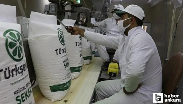 Türkşeker 1350 işçi alımı: Başvuru şartları ve kadro dağılımı