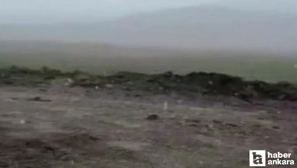 Ankara'da mevsimin ilk karı göründü!