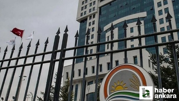 Orman Genel Müdürlüğü (OGM) 9 geçici işçi alacak: Şartlar neler?