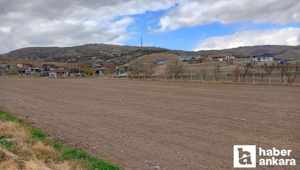 Çubuk’ta köpek sürüsünün saldırısına uğrayan çocuk tedavi altında