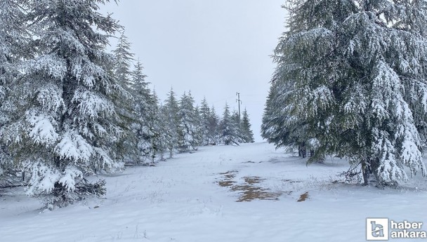 Korkutan kış tahmini: Son 50-60 yılın en soğuk dönemi