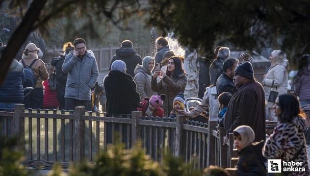 Ankaralılar yeni yılın ilk gününde Kuğulu Park'ı ziyaret etti