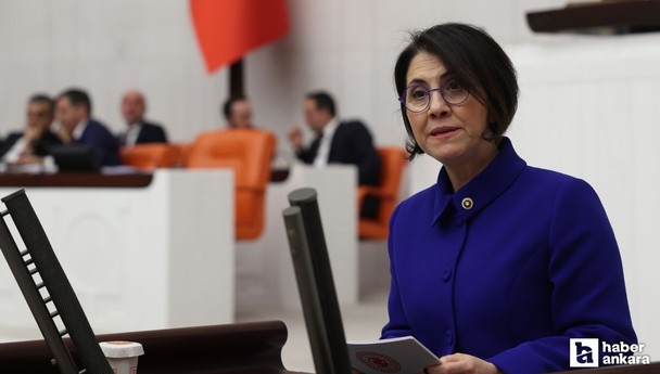 CHP Ankara Milletvekili Yaman: Aile Hekimliği krizi çözülmeli