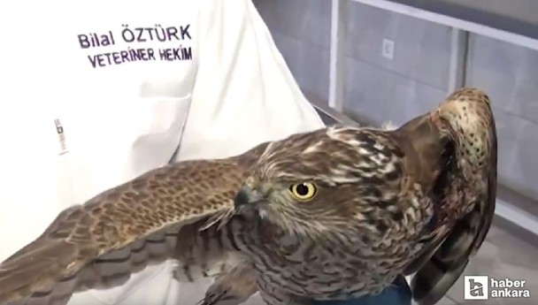 Kahramankazan Belediyesi yaralı Atmaca'ya yardım elini uzattı