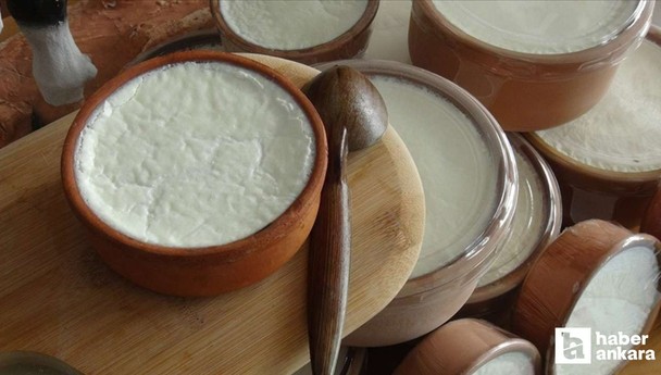 Avrupa Birliği, Silifke yoğurduna coğrafi işaret tescili verdi