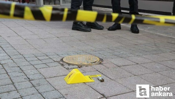 İzmir-Ankara kara yolunda bir TIR sürücüsü aracında ölü bulundu